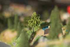 小树模型多山的地形森林玩具世界