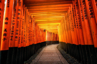 红色的鸟居盖茨伏见inari《京都议定书》日本