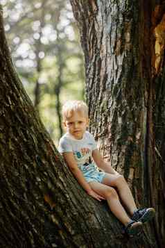 肖像可爱的孩子男孩坐着大树夏天一天孩子攀爬树男孩坐着树分支户外活跃的男孩玩公园