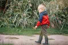 可爱的男孩红色的夹克橡胶靴子走自然绿色背景高草