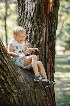 男孩坐在分支大树孩子的游戏活跃的家庭时间自然徒步旅行孩子们