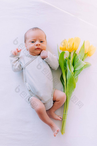 新生儿婴儿花束郁金香3<strong>月</strong>婴儿花黄色的郁金香
