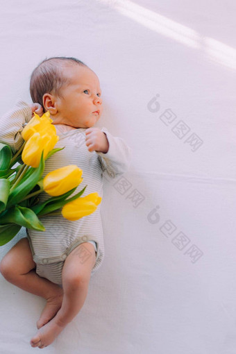 新生儿婴儿花束郁金香3月婴儿花黄色的郁金香