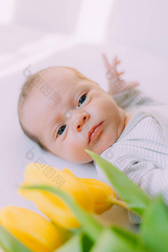 新生儿婴儿花束郁金香3<strong>月</strong>婴儿花黄色的郁金香