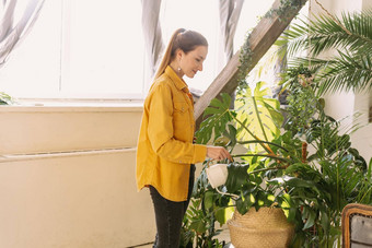 年轻的美丽的女人美丽的衣服<strong>浇水</strong>花植物首页花园女孩<strong>浇水浇水</strong>树温室