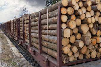 运输木材铁路马车