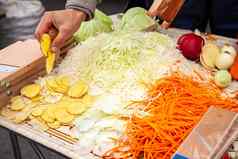 切碎卷心菜卷心菜碎纸机自制的酸菜白色卷心菜