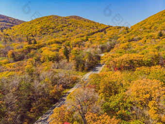 空中视图路<strong>美丽</strong>的秋天森林日落<strong>美丽</strong>的景观空农村路树红色的橙色叶子高速<strong>公路</strong>公园前视图飞行无人机自然