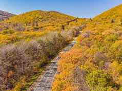 空中视图路美丽的秋天森林日落美丽的景观空农村路树红色的橙色叶子高速公路公园前视图飞行无人机自然