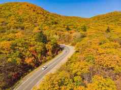 空中视图路美丽的秋天森林日落美丽的景观空农村路树红色的橙色叶子高速公路公园前视图飞行无人机自然