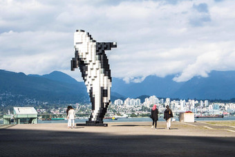 温哥华英国哥伦比亚加拿大9月铝雕塑数字虎鲸虎鲸鲸鱼艺术家道格拉斯科普兰安装公约中心温哥华