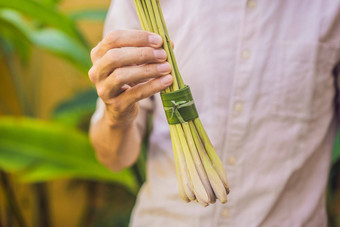 <strong>环保产品</strong>包装概念柠檬草包装香蕉叶替代塑料袋浪费概念替代包装