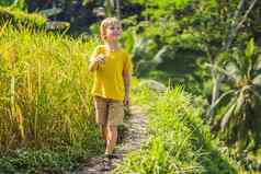 男孩绿色级联大米场种植园巴厘岛印尼旅行孩子们概念教学孩子们实践