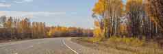 横幅长格式令人惊异的视图色彩斑斓的秋天森林沥青山路美丽的景观空路树阳光秋天旅行背景自然