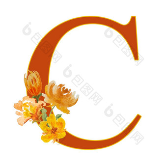 字体。信排版字母水彩手画插图温暖的橙色花卉花叶子宽松的形式自然植物优雅的植物设计婚礼卡片邀请标志复古的风格刻字