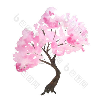 水彩手画设计插图粉红色的樱桃<strong>樱花</strong>树布鲁姆开花花花见节日传统的<strong>日本日本</strong>文化自然景观植物春天3月4月概念