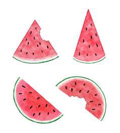 水彩手画插图西瓜红色的绿色颜色夏天水果设计聚会，派对装饰蔬菜背景自然有机植物片种子元素新鲜的食物概念