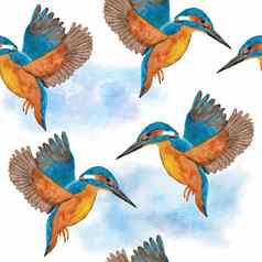 水彩无缝的手画模式野生翠鸟食蜂鸟鸟森林林地野生动物自然古董背景花叶子绿色植物分支机构自然鸟飞行设计