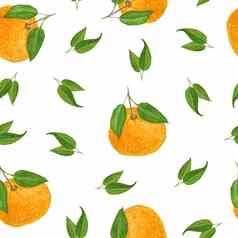 水彩手画无缝的模式插图明亮的橙色橘子普通话柑橘类水果充满活力的绿色叶子食物有机素食者标签包装自然设计时尚的
