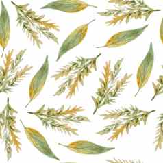 无缝的手画水彩模式绿色黄色的野生草本植物叶子木林地森林有机自然植物花植物设计壁纸纺织包装纸秋天秋天