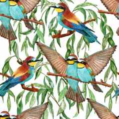 水彩无缝的手画模式翠鸟食蜂鸟鸟森林林地willife自然古董背景花叶子绿色植物鸟飞行设计