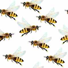 水彩无缝的手画模式熊蜜蜂自然自然昆虫夏天共鸣现代设计蜂窝黄色的白色背景纺织壁纸包装纸reatistic动物农场