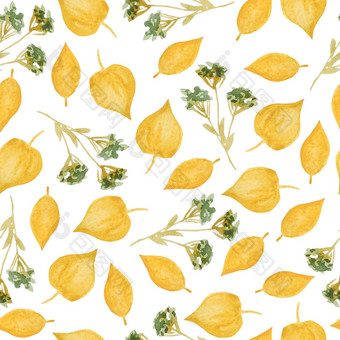 无缝的手画水彩模式绿色黄色的野生草本植物叶子木林地森林有机自然植物花植物设计壁纸纺织包装纸秋天秋天