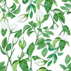 水彩手画无缝的模式花野生玫瑰花叶子分支机构绿色叶绿色植物白色蓝色的dogrose打印背景自然优雅的维多利亚时代设计壁纸纺织