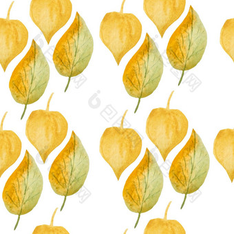 无缝的手画水彩模式绿色黄色的野生草本植物叶子木林地森林有机自然植物花植物设计壁纸纺织包装纸秋天秋天季节