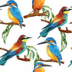 水彩无缝的手画模式野生翠鸟食蜂鸟鸟森林林地野生动物自然古董背景花叶子绿色植物分支机构自然鸟飞行设计