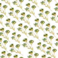 无缝的手画水彩模式绿色黄色的野生草本植物叶子草木林地森林有机自然植物花植物设计壁纸纺织包装纸秋天秋天