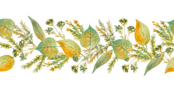 无缝的手画水彩水平边境绿色黄色的野生草本植物<strong>叶子</strong>木林地森林有机自然植物花植物设计壁纸纺织包装纸秋天秋天