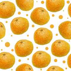 水彩手画无缝的模式插图明亮的橙色橘子普通话柑橘类水果波尔卡点圈背景食物有机素食者标签包装自然时尚的设计