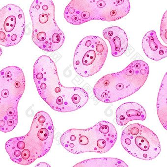 水彩无缝的模式粉红色的紫色的细胞微藻微生物显微镜生物藻<strong>类</strong>概念化妆品医学<strong>医疗保健</strong>打印设计柔和的他一直细菌软椭圆形轮形状