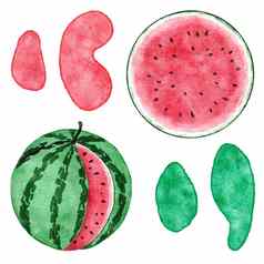 水彩手画插图西瓜红色的绿色颜色夏天水果设计聚会，派对装饰蔬菜背景自然有机植物片种子元素新鲜的食物概念