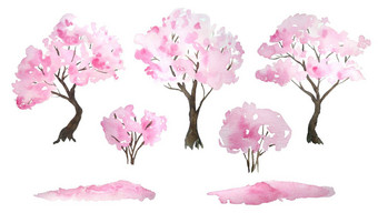 水彩手画设计元素插图粉红色的樱桃<strong>樱花</strong>树布鲁姆开花花下降花瓣灌木花见节日传统的<strong>日本日本</strong>文化自然景观植物春天3月4月