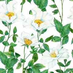 水彩手画无缝的模式花野生玫瑰花叶子分支机构绿色叶绿色植物白色蓝色的dogrose打印背景自然优雅的维多利亚时代设计壁纸纺织