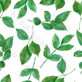 水彩手画无缝的模式绿色叶子自然叶绿色植物野生草本植物fabricprint设计优雅的树叶背景壁纸纺织