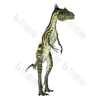 deltadromeus兽脚亚目食肉恐龙恐龙
