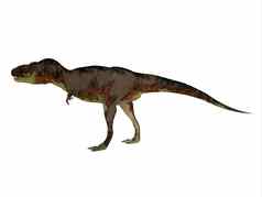 达斯普龙兽脚亚目食肉恐龙恐龙