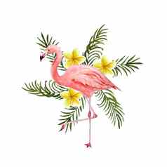水彩手画插图粉红色的火烈鸟鸟热带绿色棕榈叶子plumeria鸡蛋花花背景夏天假期假期概念打印卡邀请t恤装饰