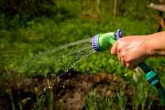 高级女人浇水花园手园丁持有软管浇水水喷雾太阳光园艺概念复制空间