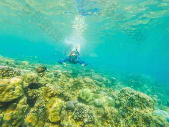 快乐女人浮潜面具潜水水下热带鱼珊瑚礁海池旅行生活方式水体育运动户外冒险游泳教训夏天海滩假期