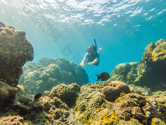 快乐男人。浮潜面具潜水水下热带鱼珊瑚礁海池旅行生活方式水体育运动户外冒险游泳教训夏天海滩假期空中视图无人机