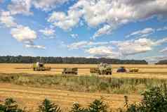 收获小麦结合矿车农业机器收集金小麦场