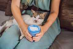 年轻的女人地中海早餐坐着沙发猫饮料时尚的喝蓝色的拿铁热蝴蝶(2008年)拿铁蓝色的螺旋藻拿铁