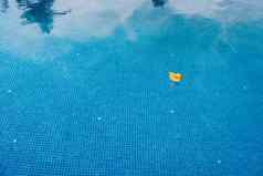 背景平静水蓝色的夏天游泳池黄色的橡胶鸭玩具水文本