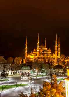 苏丹ahmed清真寺蓝色的清真寺历史清真寺伊斯坦布尔火鸡晚上