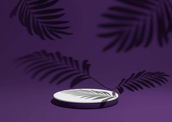 黑暗紫色的紫罗兰色的渲染简单的最小的产品显示作文背景了讲台上站叶阴影背景自然产品