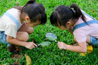 孩子们学习探索自然户外放大玻璃好奇的孩子放大玻璃树公园姐妹玩放大玻璃